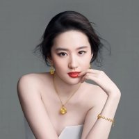 越南棋士
